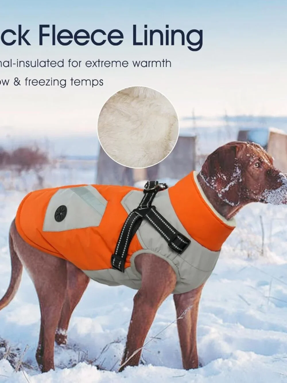 IECOii Dog Coat for Large Dogs
